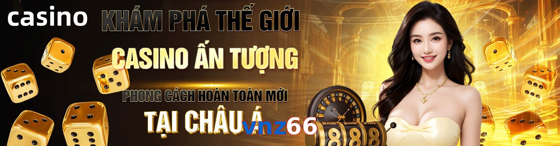 vnz66