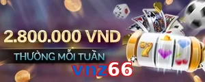 vnz66