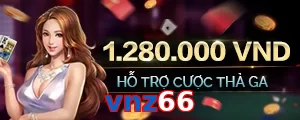 vnz66