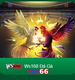 vnz66