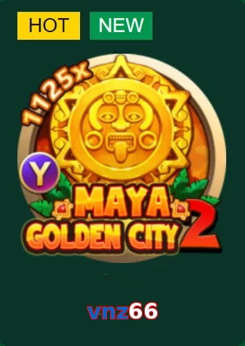 vnz66
