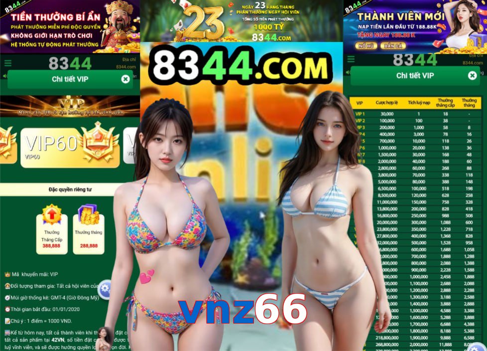 vnz66